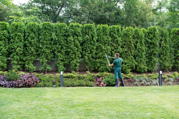 Leaf Removal in Deephaven, MN